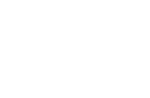 CELESTECLUB